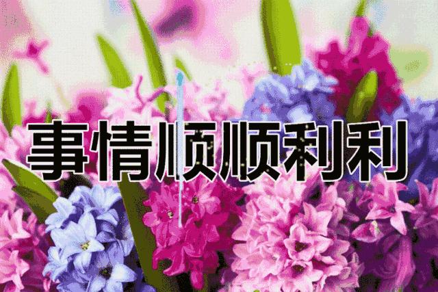 端午节到了致所有对我好的人,端午节致我最介意的人图片