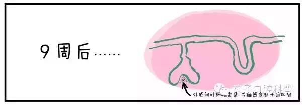 儿童治疗牙齿科普动画,孩子牙齿成长全过程