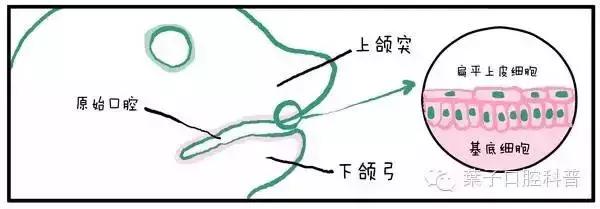 儿童治疗牙齿科普动画,孩子牙齿成长全过程