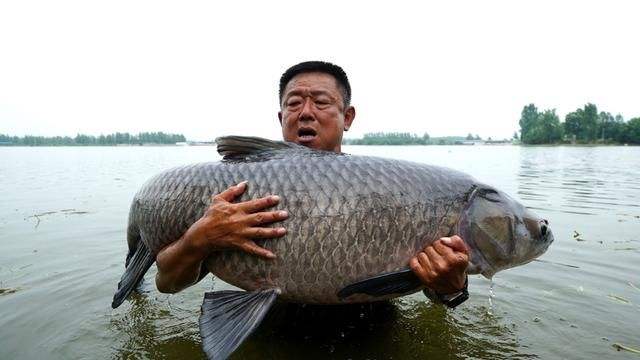 钓鱼界的大师,钓鱼界谁最有影响力