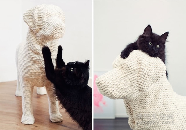 猫咪挠沙发,家里的猫总喜欢挠沙发怎么办