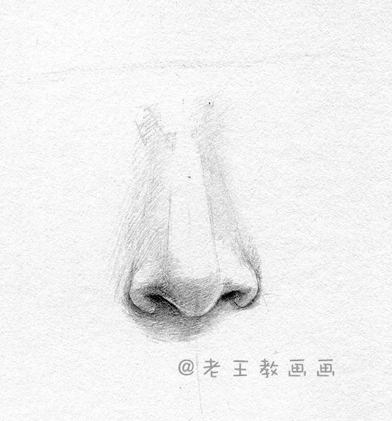 画画教程7-12岁鼻子怎么画,画鼻子教程素描
