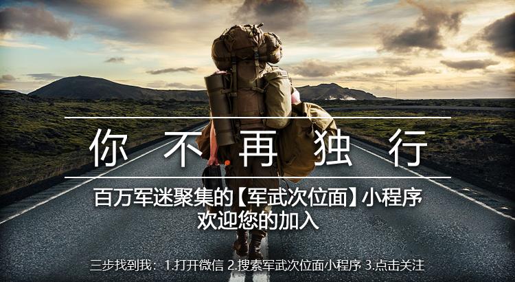 军事模块化未来发展趋势,步枪模块化