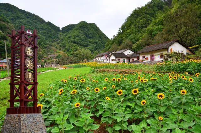 陕西最具发展潜力的5个县,陕西未来5年搬迁村名单