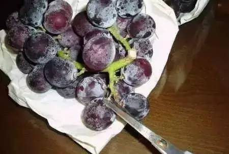 葡萄皮和籽别再扔掉,葡萄皮里面有虫子