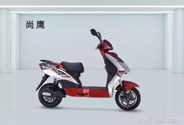 祥龙新国标最新款,祥龙电动车最新款国标车