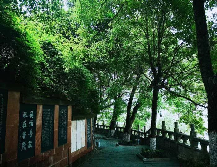 坐着地铁去旅行｜武汉地铁4号线吃喝超全攻略！