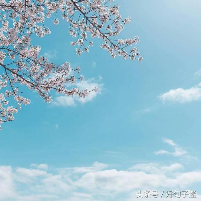 告白情话最暖心感动的话,最浪漫的告白一句话