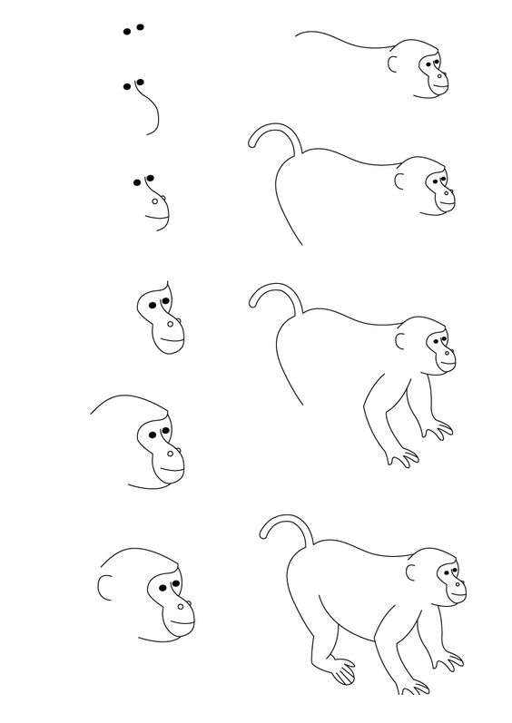 1000000个可爱动物简笔画,10000种超萌动物简笔画大全