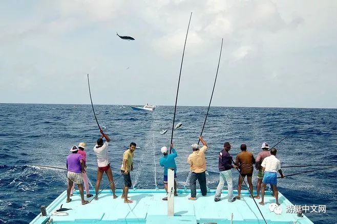海钓需要准备些什么,海钓的玩法和技巧