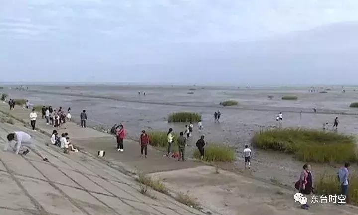 东台民俗老东台人的出行记忆,东台民俗精粹