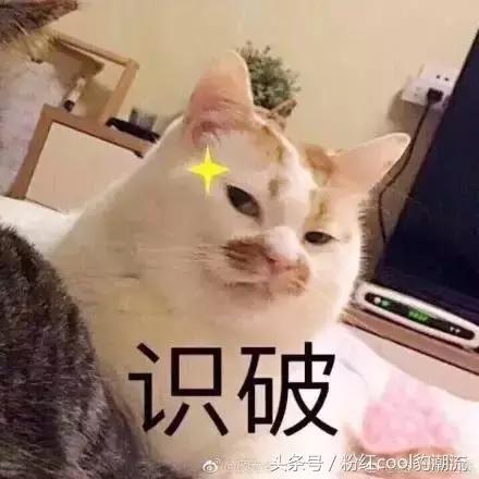 日本皇家第二代脐带血精华,日本皇家royal脐带血精华