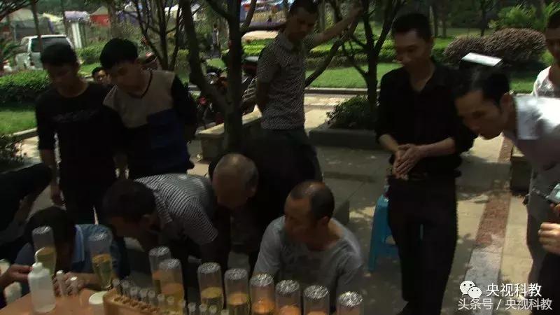 我爱发明有趣的发明,每日一创意发明