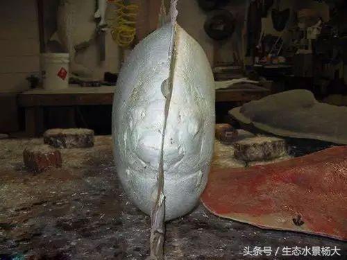 真鱼做法教程,如何自制仿真鱼模型教程