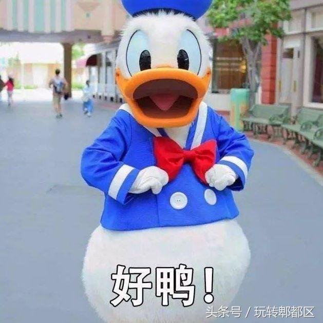 郫都野外自助烧烤,郫都红光户外自助烧烤