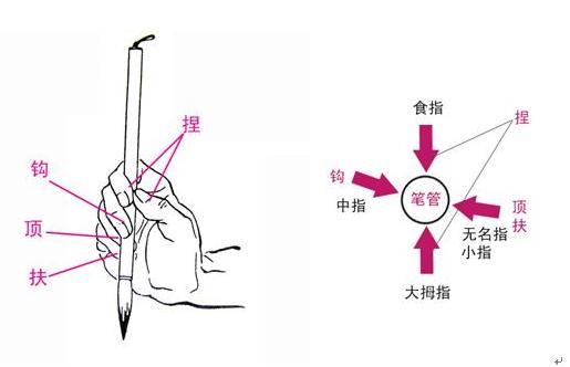 初学毛笔握笔正确姿势有几种,毛笔转笔姿势