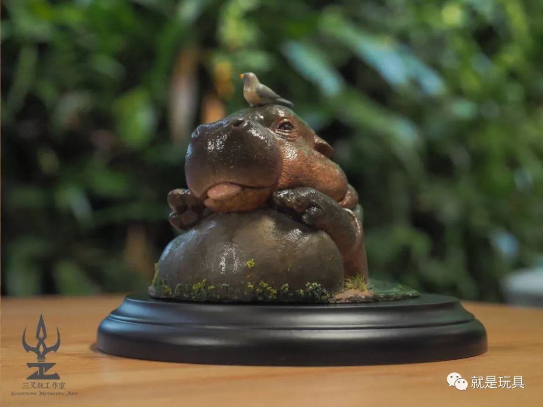 这只网红河马比你家喵星人都可爱！