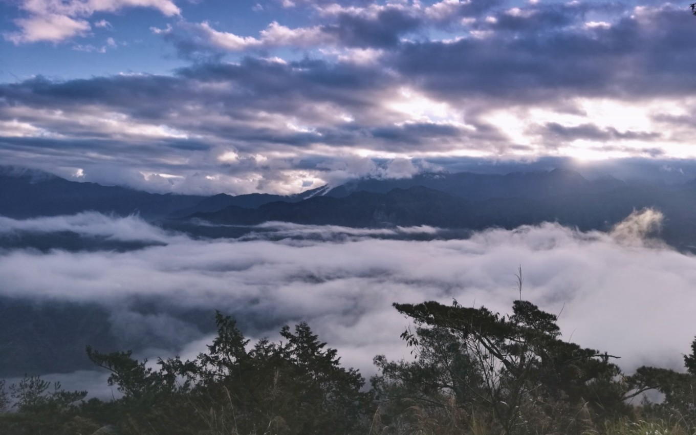 台湾阿里山一日游,到高雄旅行自由行攻略