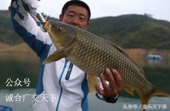 混养塘水深一米钓鱼最快的方法,混养鱼塘怎么收费才合理