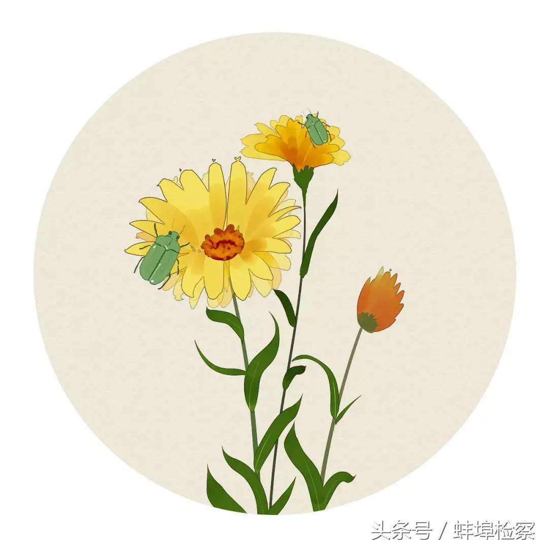 一花一世界一诗一情怀,一花一世界一叶一追寻出自哪首诗