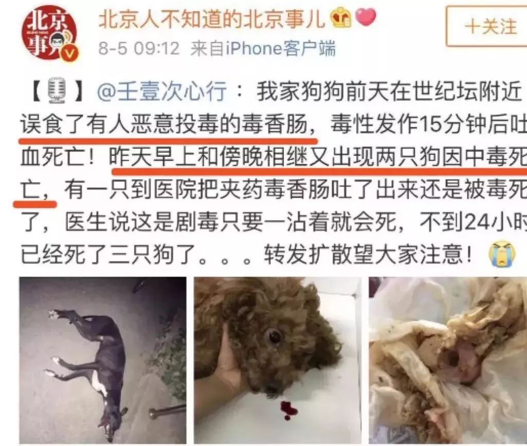 “异烟肼式”私刑不是犯罪？检察官告诉你：这不太可能！