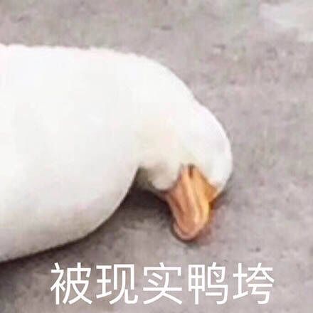 自从迷上*戏调**某宝客服后，我不会说话的毛病就被治好了