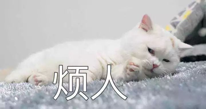 自从迷上*戏调**某宝客服后，我不会说话的毛病就被治好了