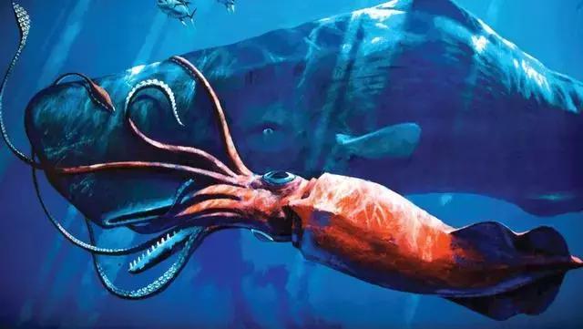 海底潜水旅行注意什么,海底潜水旅行注意事项