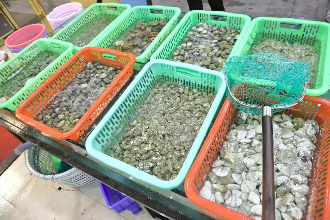438元住*海湾红**海边酒店！豪享海鲜大餐、快艇出海、撒网打鱼等等