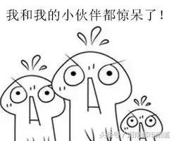 又浓又香的高汤,又白又香的高汤