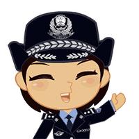网恋诈骗的真实案例,网恋反诈骗真实案例