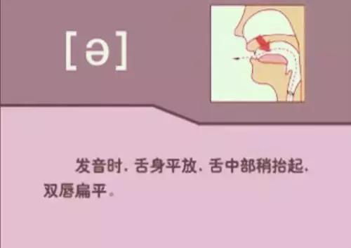 音标教学视频48个,夏沫英语48个音标教学视频