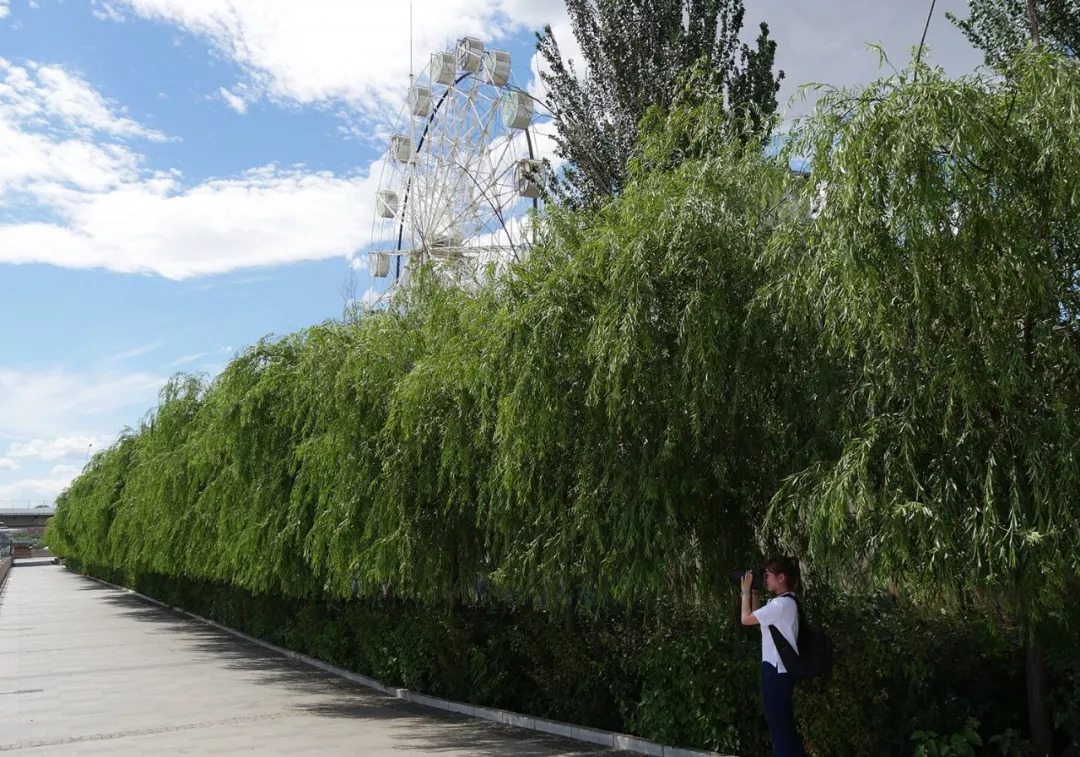 锦州空气品质调整,锦州空气品质