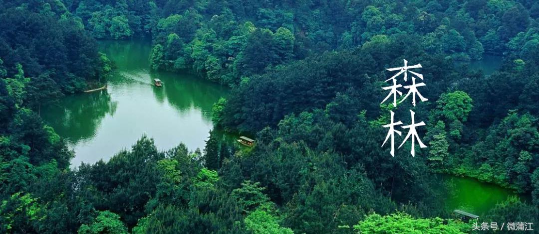 赏花、骑马、赛车、游湖……中秋来石象湖样样都精彩！