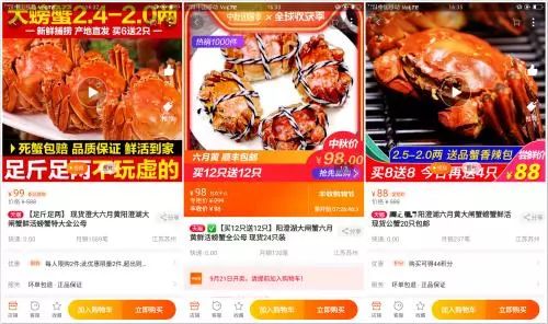 阳澄湖大闸蟹怎样辨真伪,阳澄湖大闸蟹官网辨别真假方法