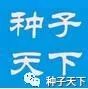 玉米存放一定要防霉变，卖好价这是关键！
