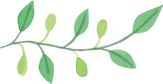 福州永泰天然氧吧,永泰云顶天然氧吧