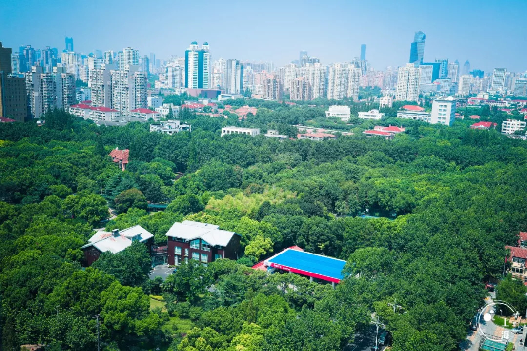 上海人能逛遍上海吗,徐家汇哪里值得逛