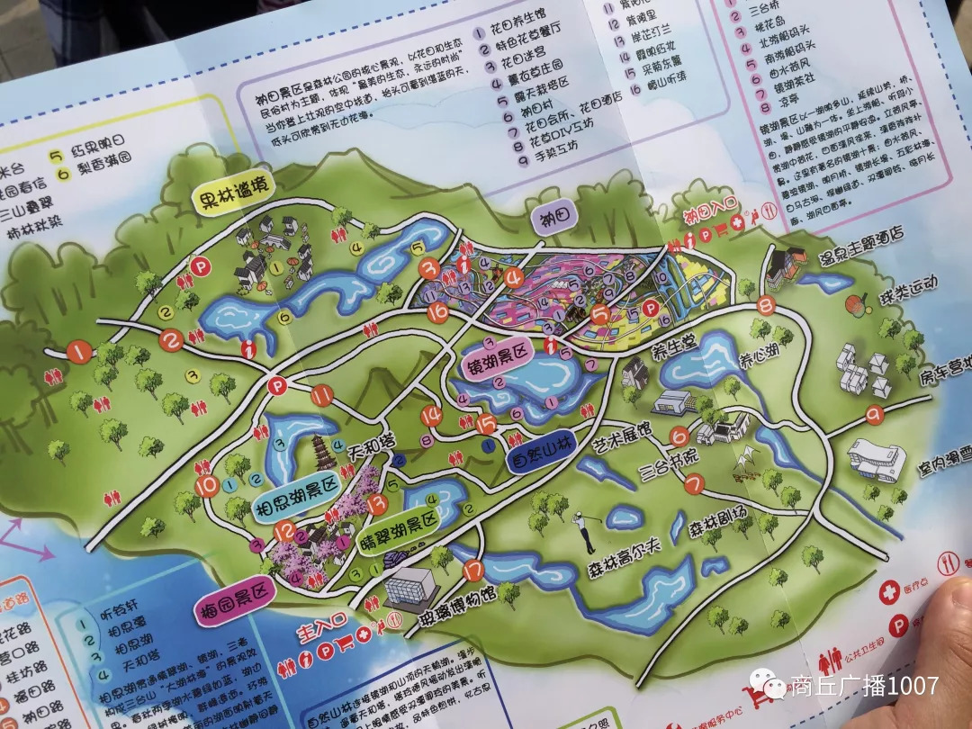 项王故里夜晚自驾游,衲田花海自驾游攻略