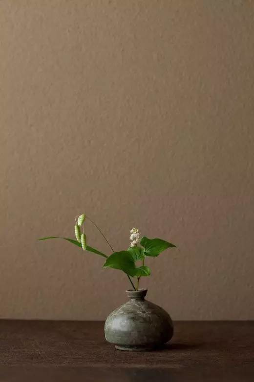 0基础插花自学教程大全,插花零基础能学会不