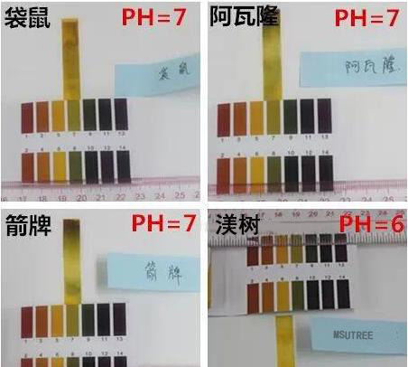 十大名牌无硅油洗发水,无硅油洗发水排行榜第一名热销