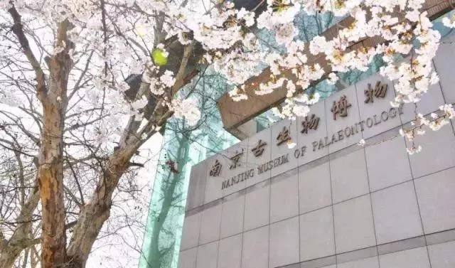 出去人从众，玄武为你安排了身边的风景