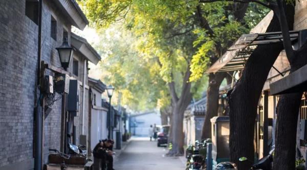 北京秋果酒店朝阳门外大街,北京秋果酒店什么档次