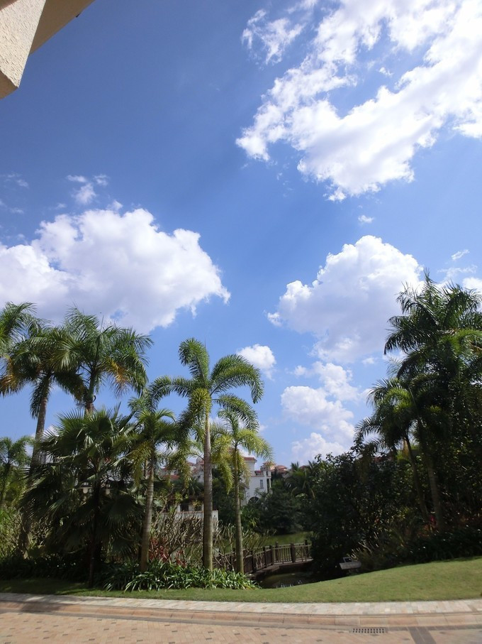 全家人三亚旅游,全家人游海南三亚旅行照片