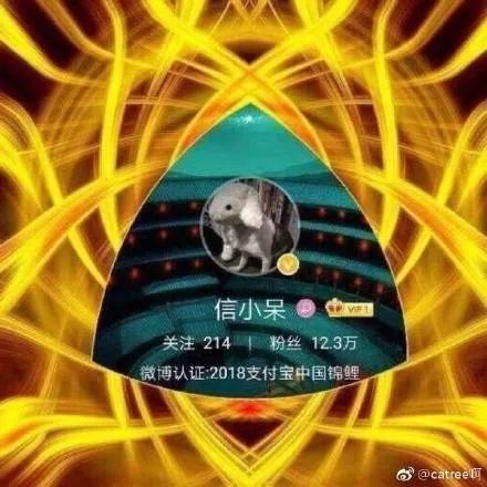 被支付宝选中的锦鲤女孩中奖一亿,被支付宝砸中的锦鲤