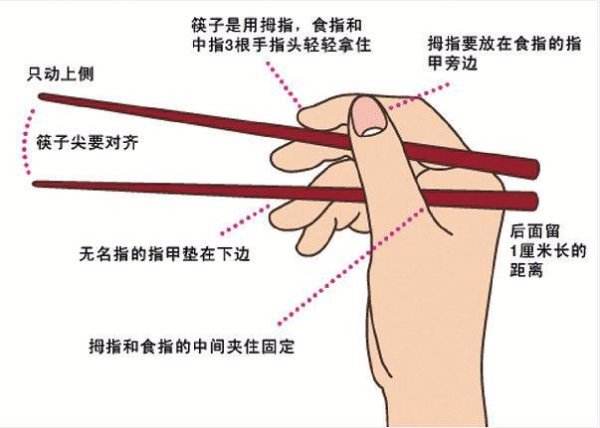 中国传统文化之筷子的历史简短,一双小小的筷子竟然蕴含重大哲理