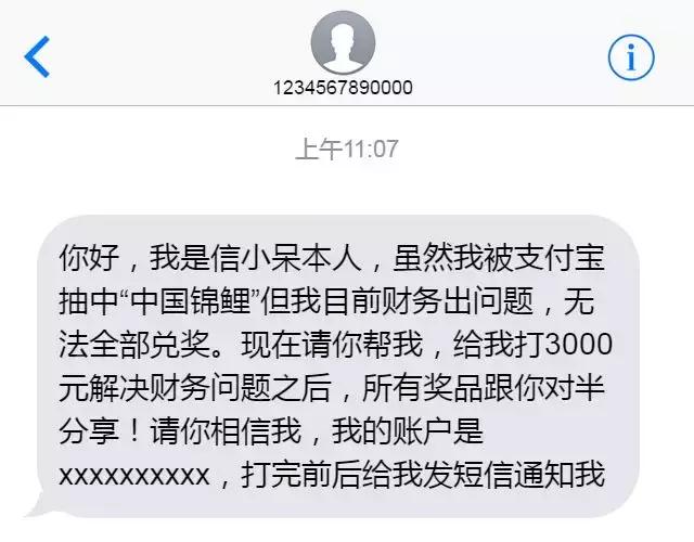 锦鲤到底是怎么火的,锦鲤为什么火了