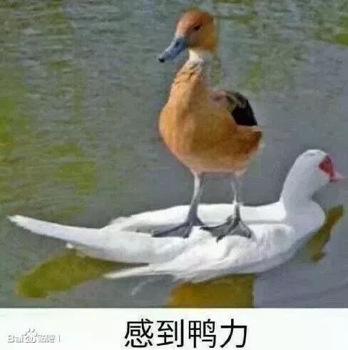 屈臣氏的护肤品适合过敏皮肤用么,屈臣氏护肤品不好用怎么办