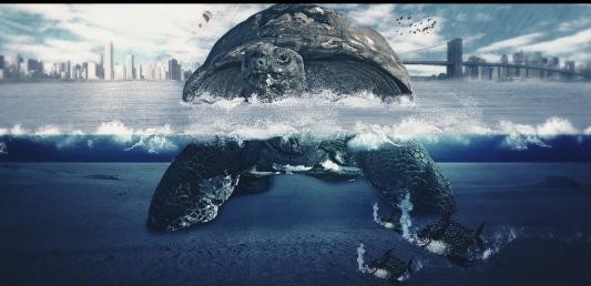 精准引流之百度系列