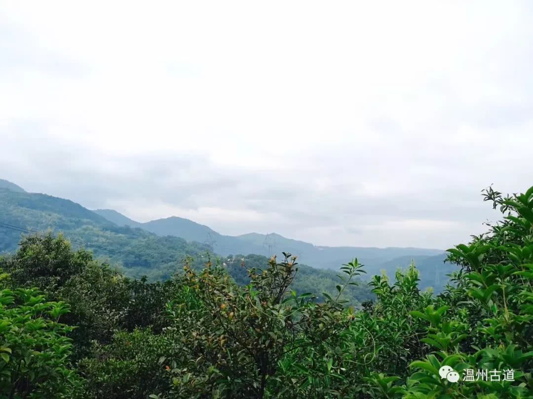 瓯海瞿溪风景,远山近水如诗如画